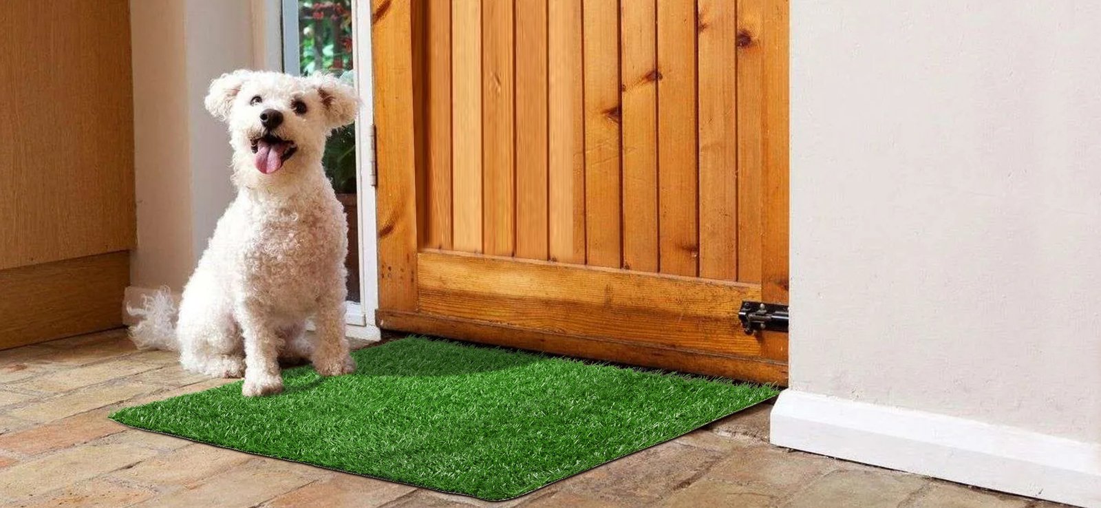 Pick For Life Artificial Dog Grass Pee Pad (2-Pack) – PickForLife